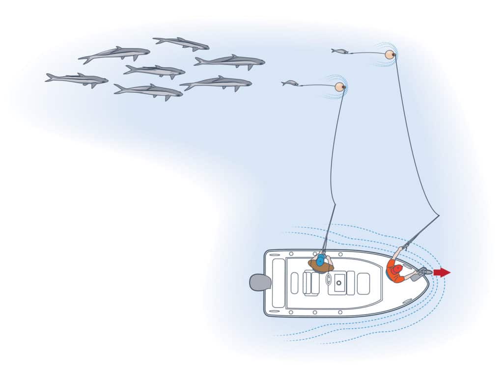 When the tarpon are traveling in schools, use a trolling motor to quietly position the boat ahead of the fish and suspend baits under floats in the path of every incoming school.