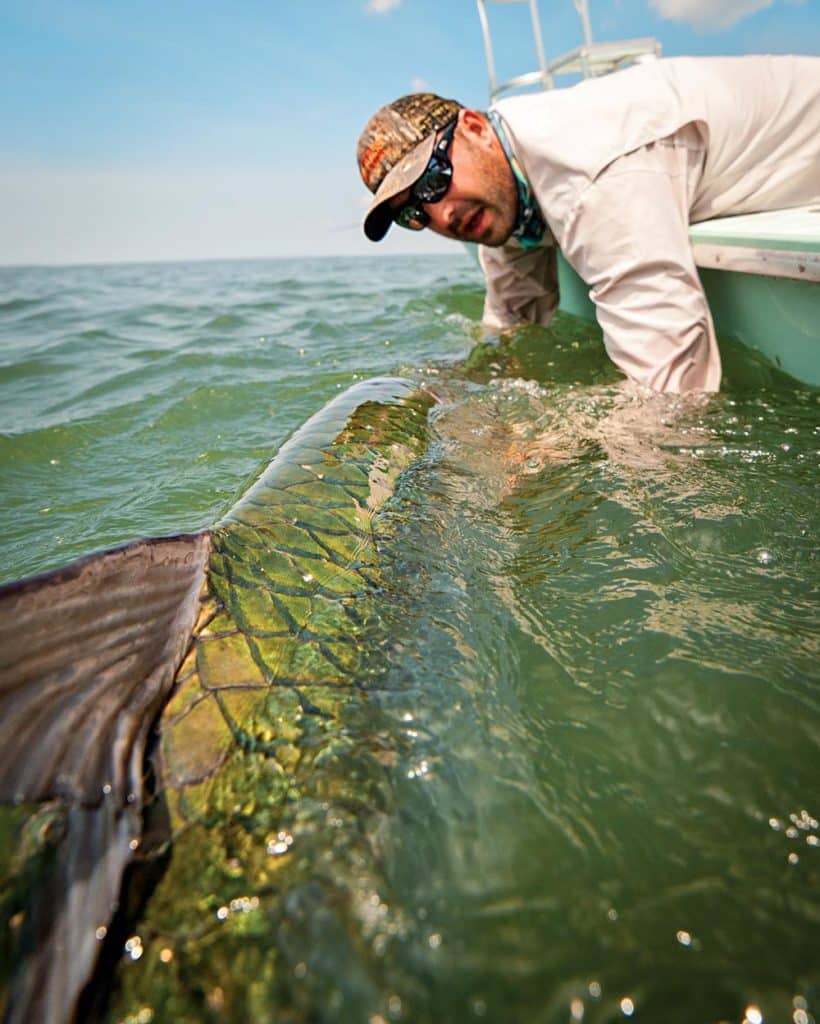 Tarpon Migration