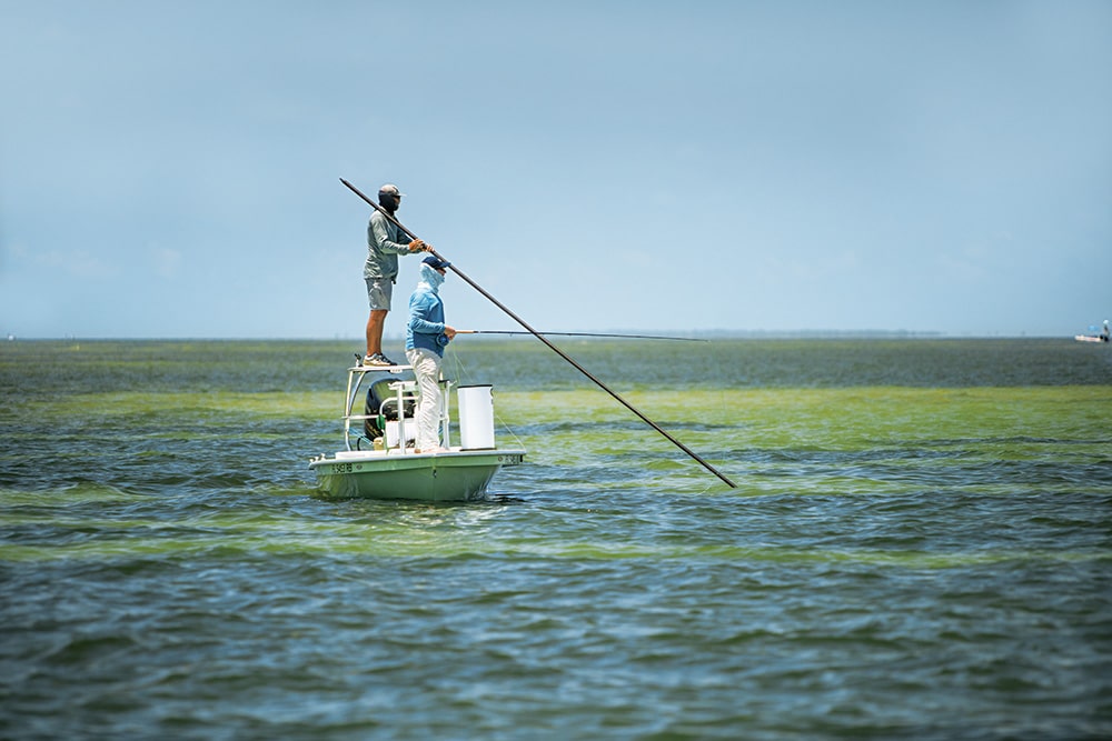 Tarpon Migration