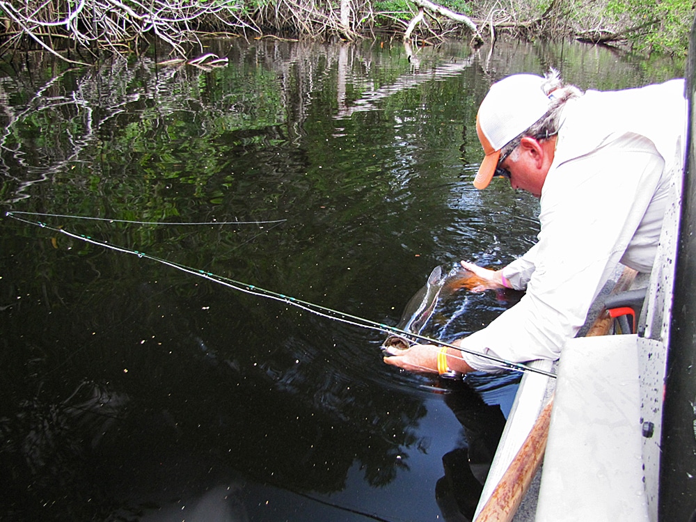 Thick vegetation often leaves no other fly fishing option than the Roll Cast.
