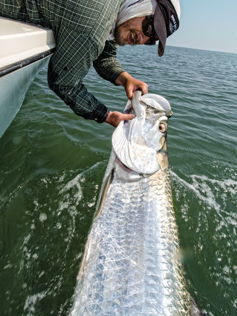 Mid-Atlantic Tarpon Tactics