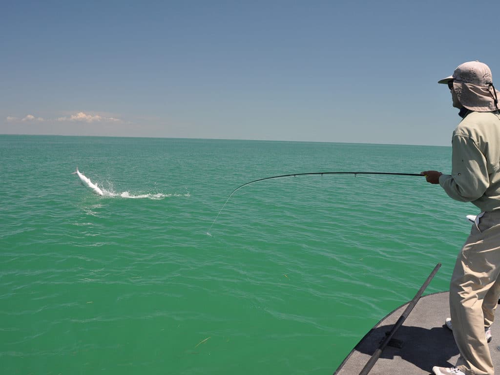 tarpon fishing