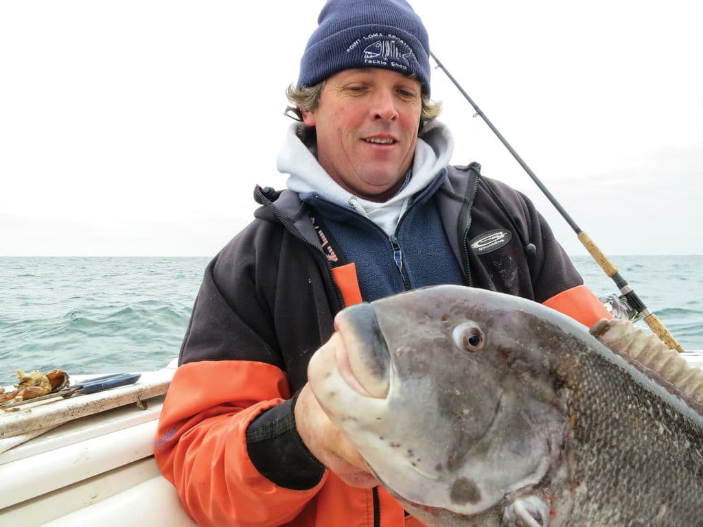 Tautog are a slow-growing species, so releasing the trophies helps keep the population thriving.