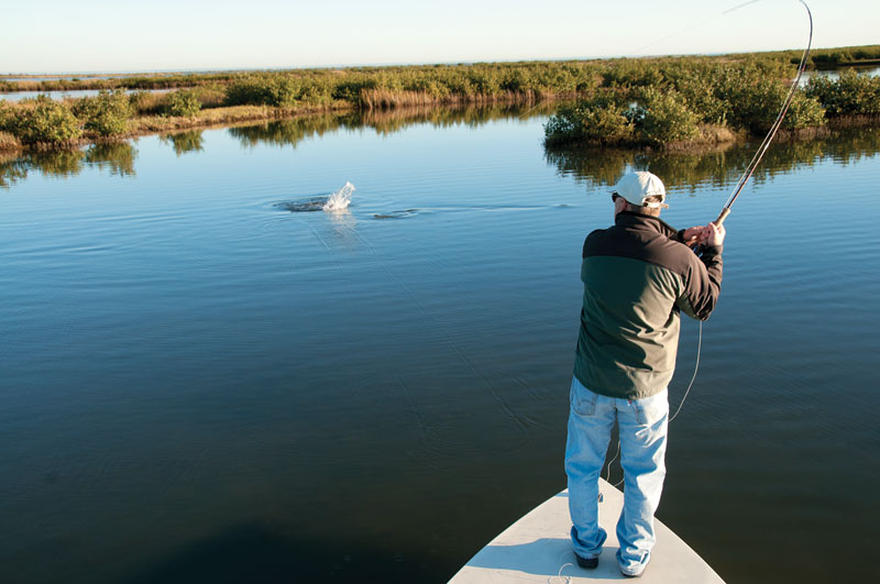 texas-fly-hookedup.jpg