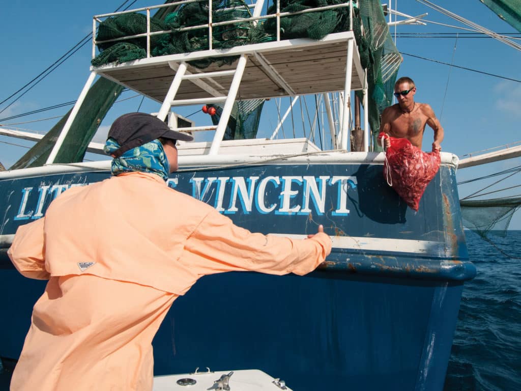 Commercial fishermen empty their nets on deck, pick the shrimp out and then shovel the bycatch overboard, so get to them early.