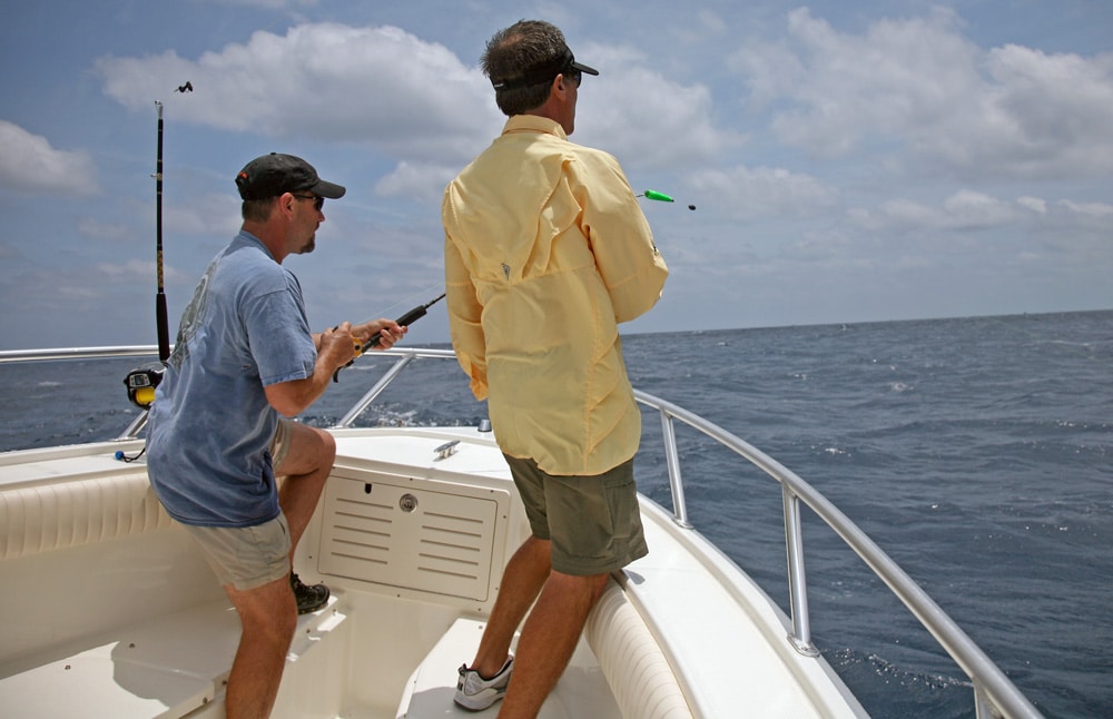 sailfish in Florida