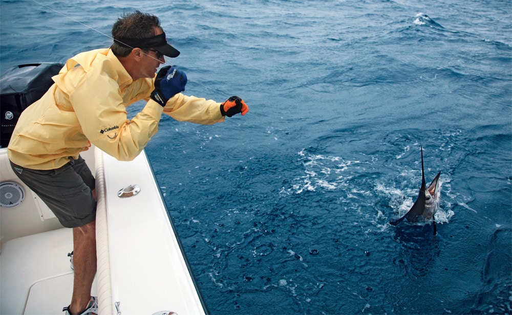 wiring sailfish to boat