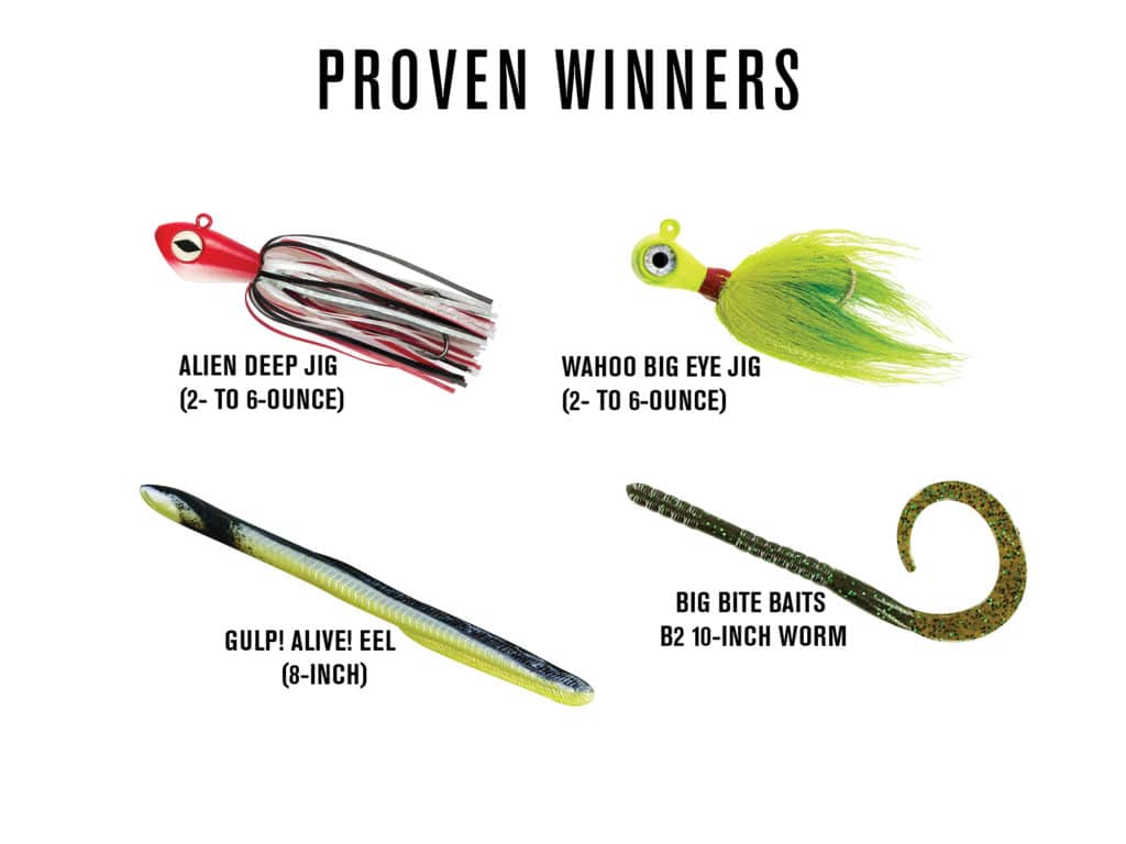 JIgs tipped with natural or soft plastic eels are hard for cobia to resist.