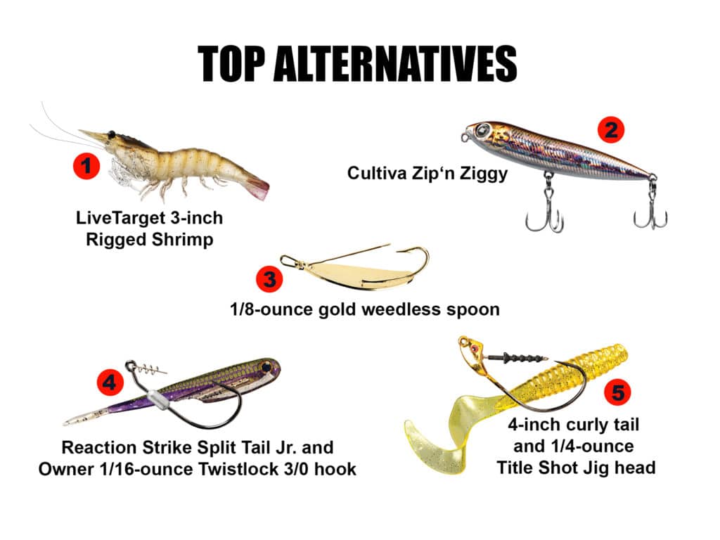 lure fishing for inshore species
