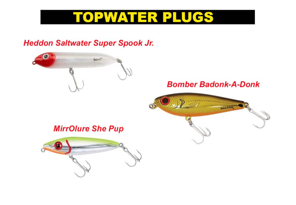 Using topwater lures for redfish is both productive and lots of fun.