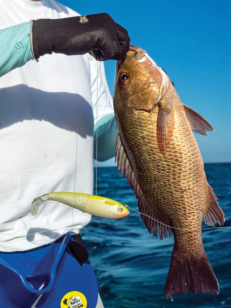 Going subsurface with swim baits is a great way to temp mangrove snapper.