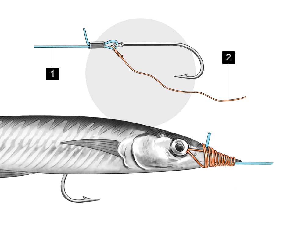 Traditional O’Shaughnessy ballyhoo rig