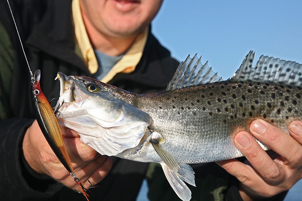 trolling-plugs-seatrout.jpg