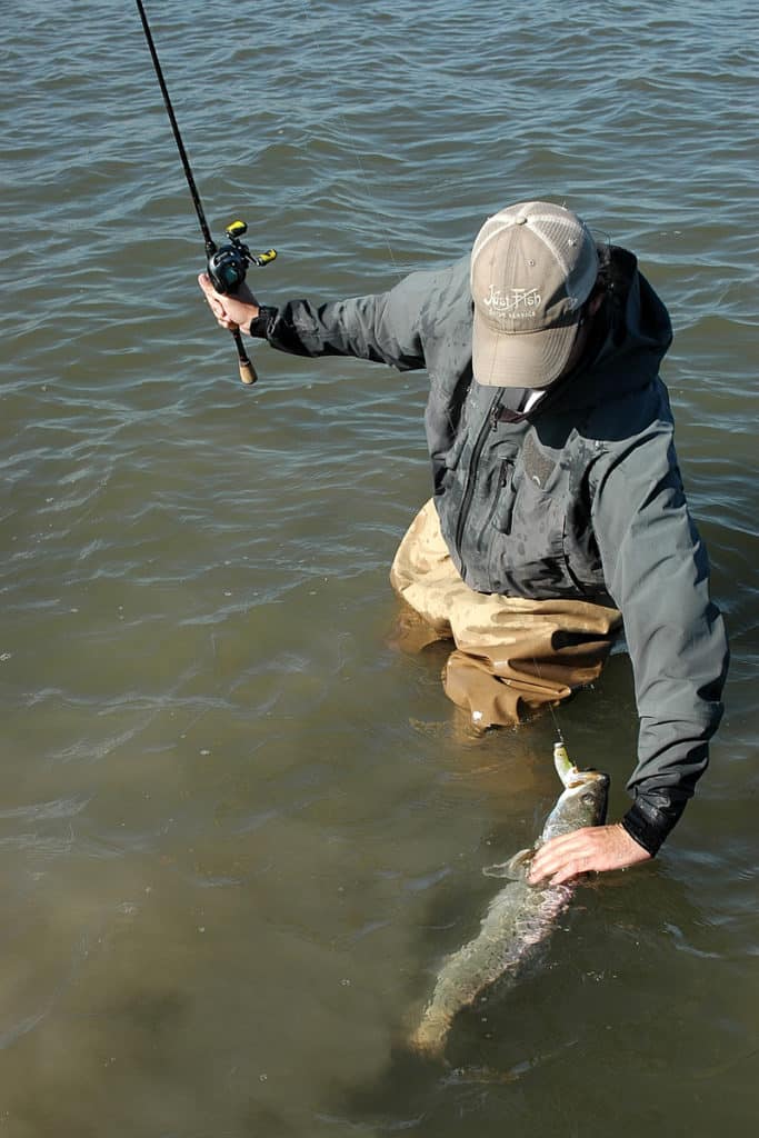 trophy trout