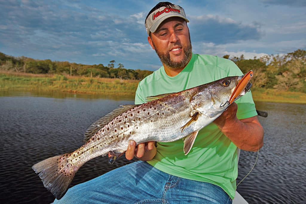 trophy trout