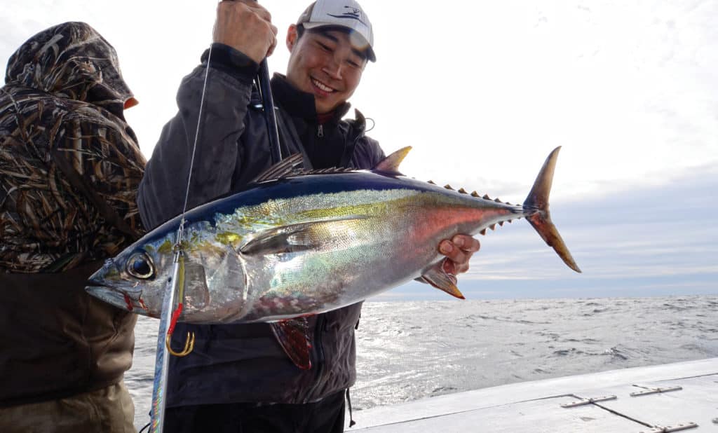 tuna fishing tips