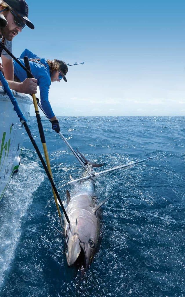 Offshore Fishing at Cape Hatteras