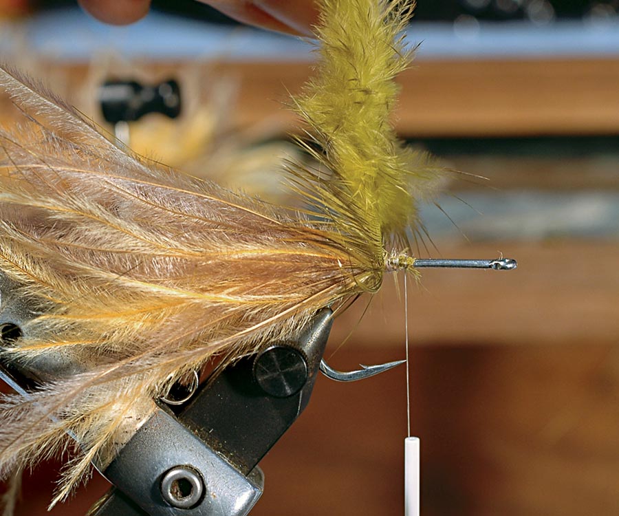 tying-tips-fly-2.jpg