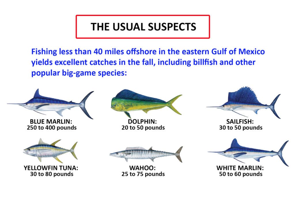 offshore fish species