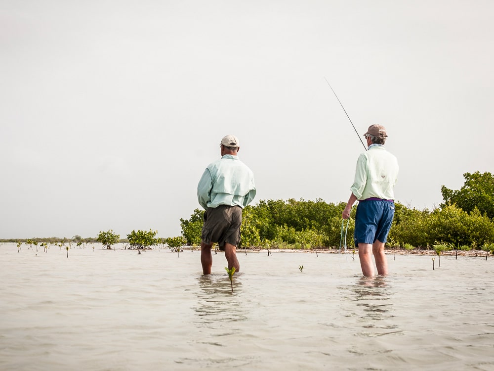 Wading for Bonefish