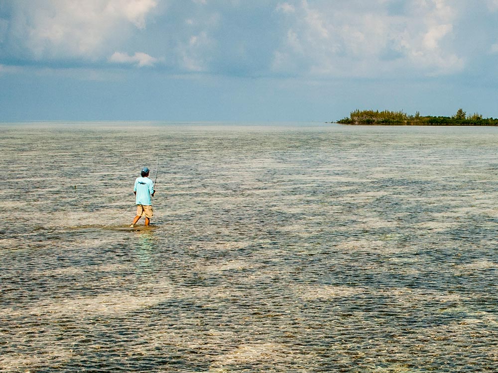 Wading for Bonefish