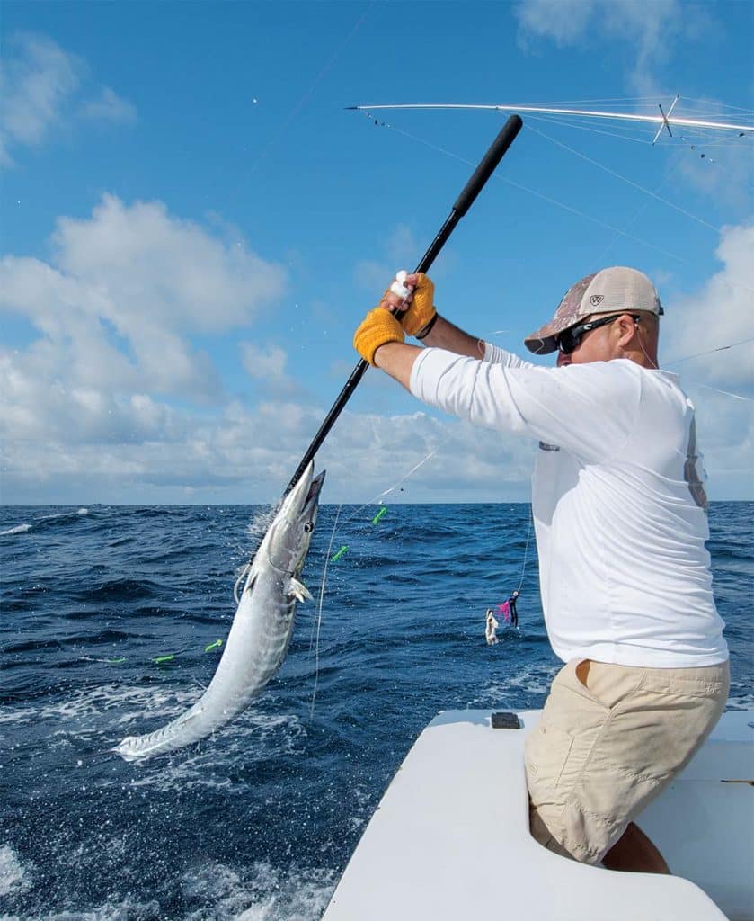 Offshore Fishing at Cape Hatteras