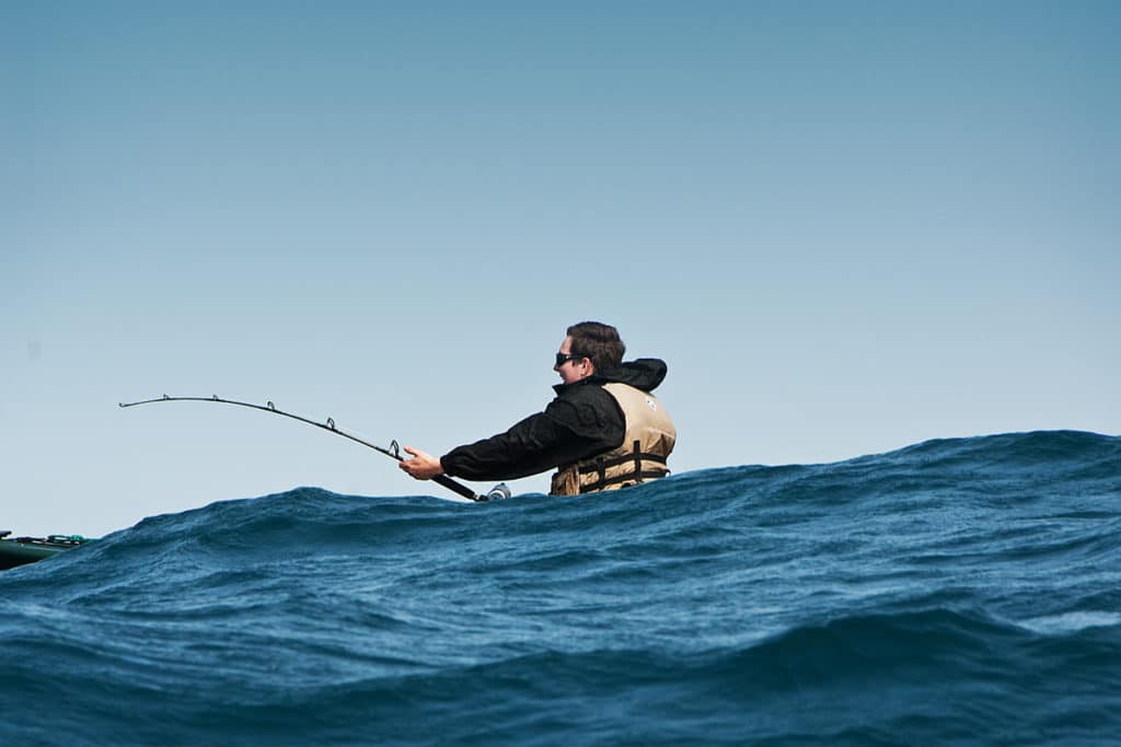 Bobbing around in blue water in a kayak puts you right in the middle of the action, almost at eye level.