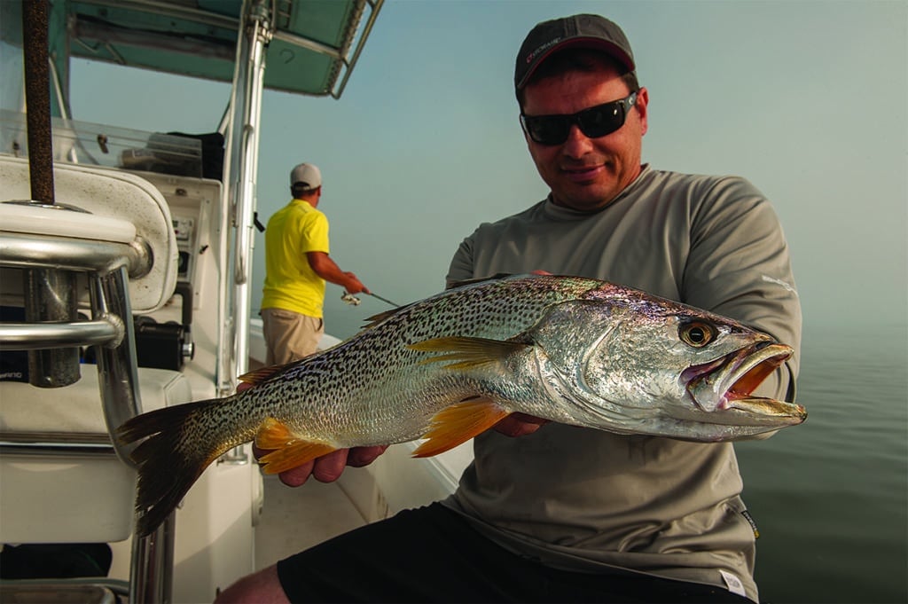 Weakfish in Barnegat Bay