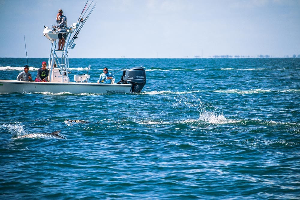 Tarpon Fishing Around Florida