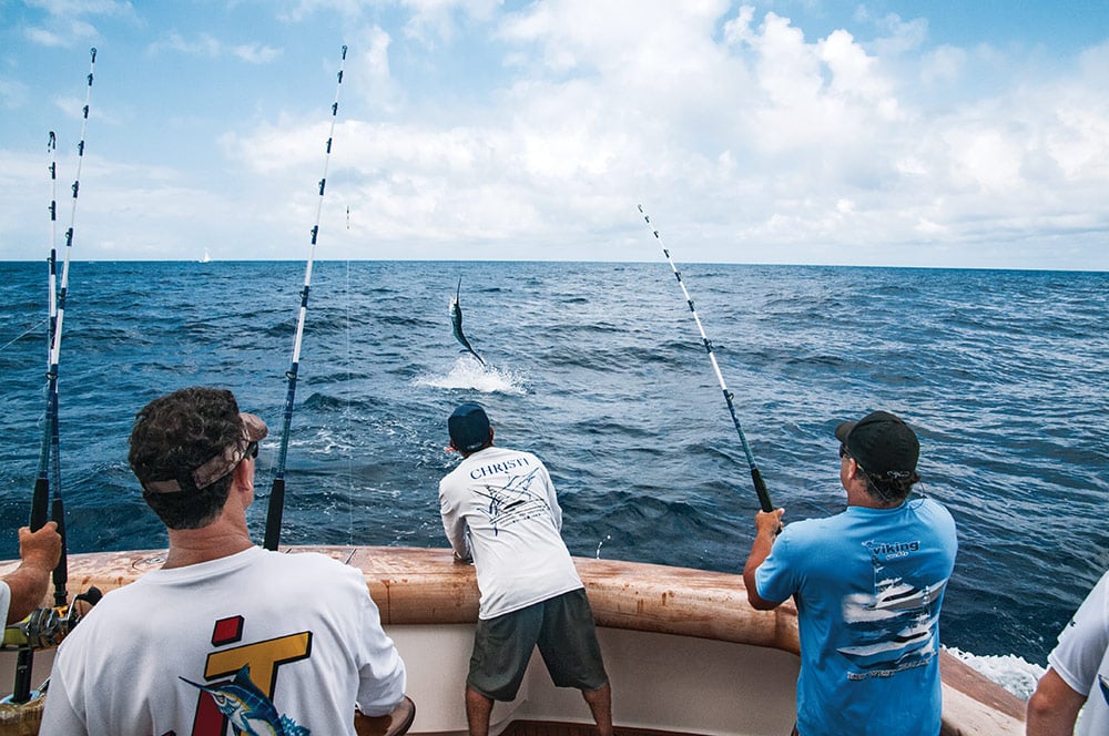 Mid-Atlantic White Marlin