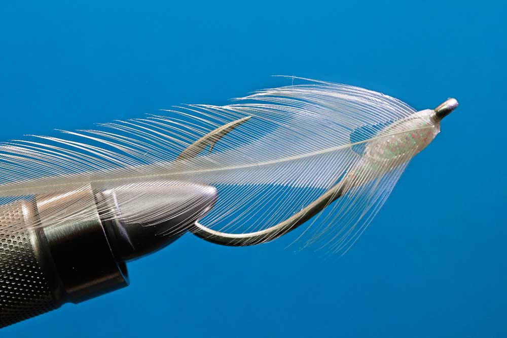 wide-body-baitfish-fly03.jpg