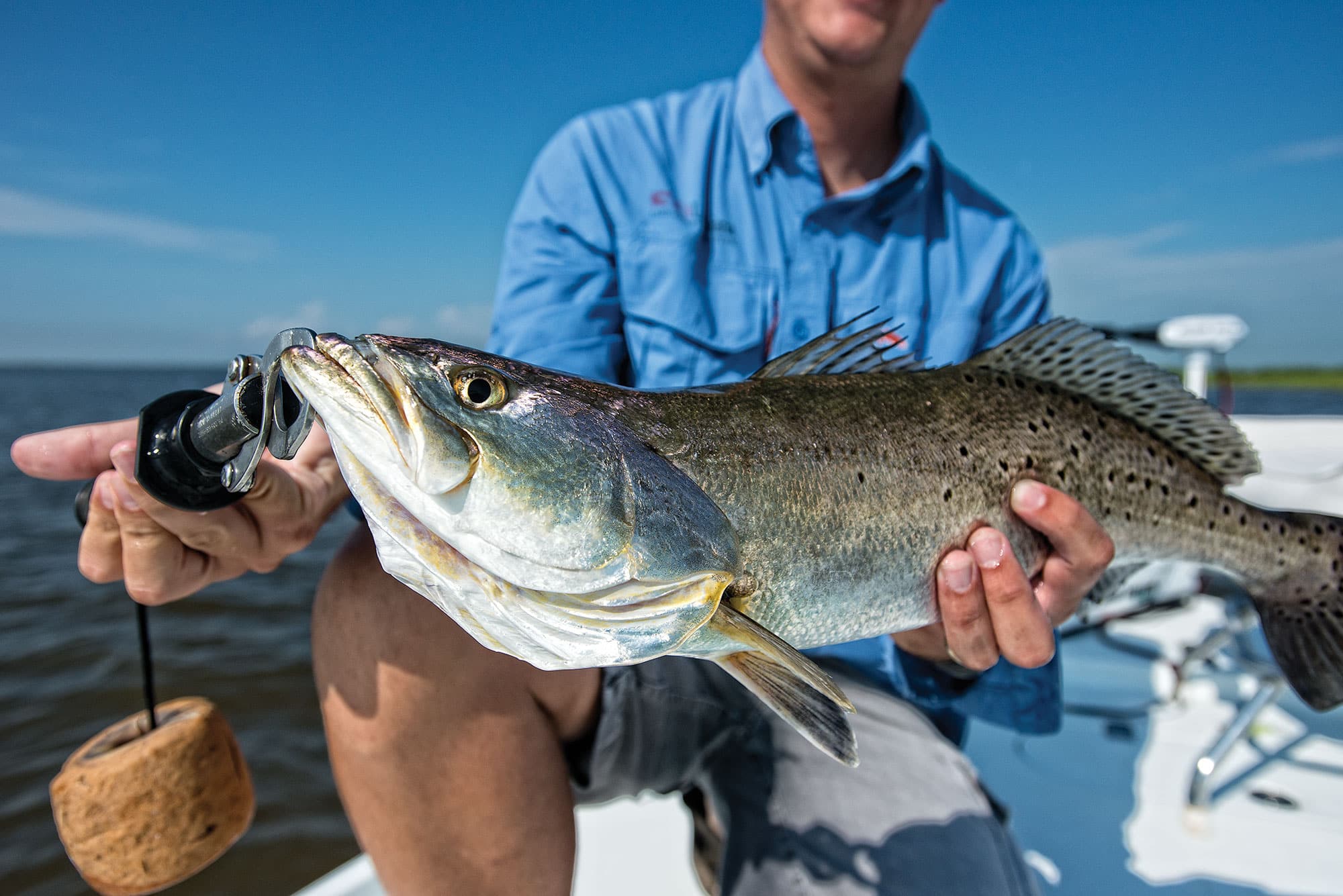 Learn How To Tie This Simple But Effective Speckled Trout Rig