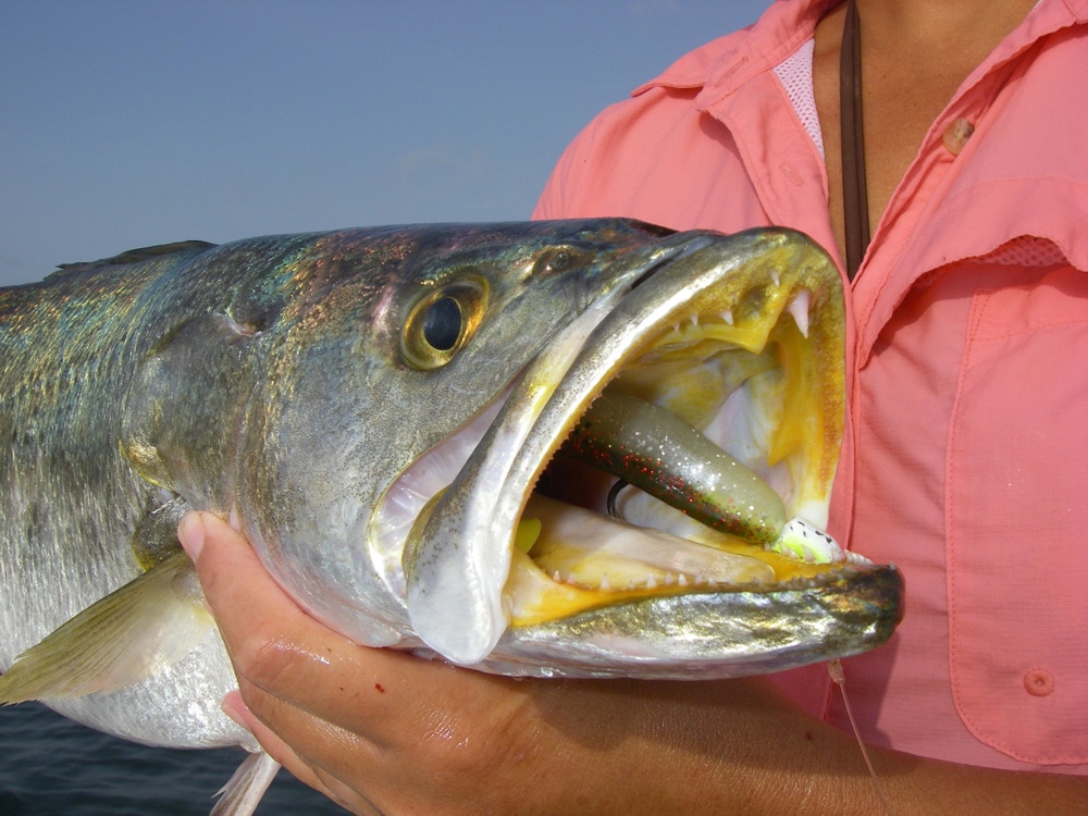 East Matagorda Bay Seatrout