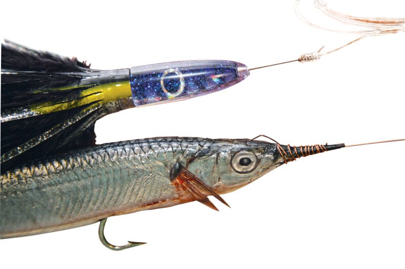 How to rig Spanish Mackerel baits for trolling. 