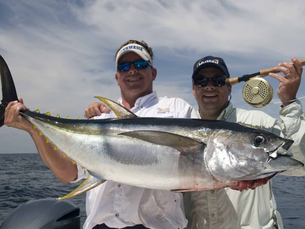 Yellowfin tuna make a challenging target for fly and light tackle.