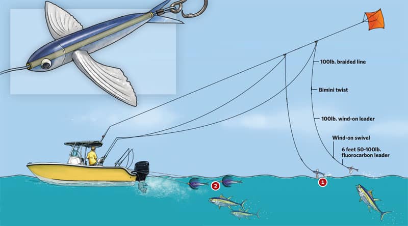 yellowfin-diagram.jpg