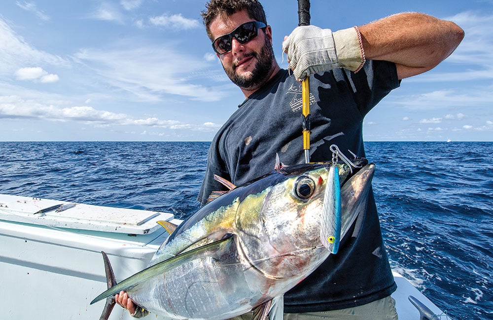 yellowfin tuna gaffed