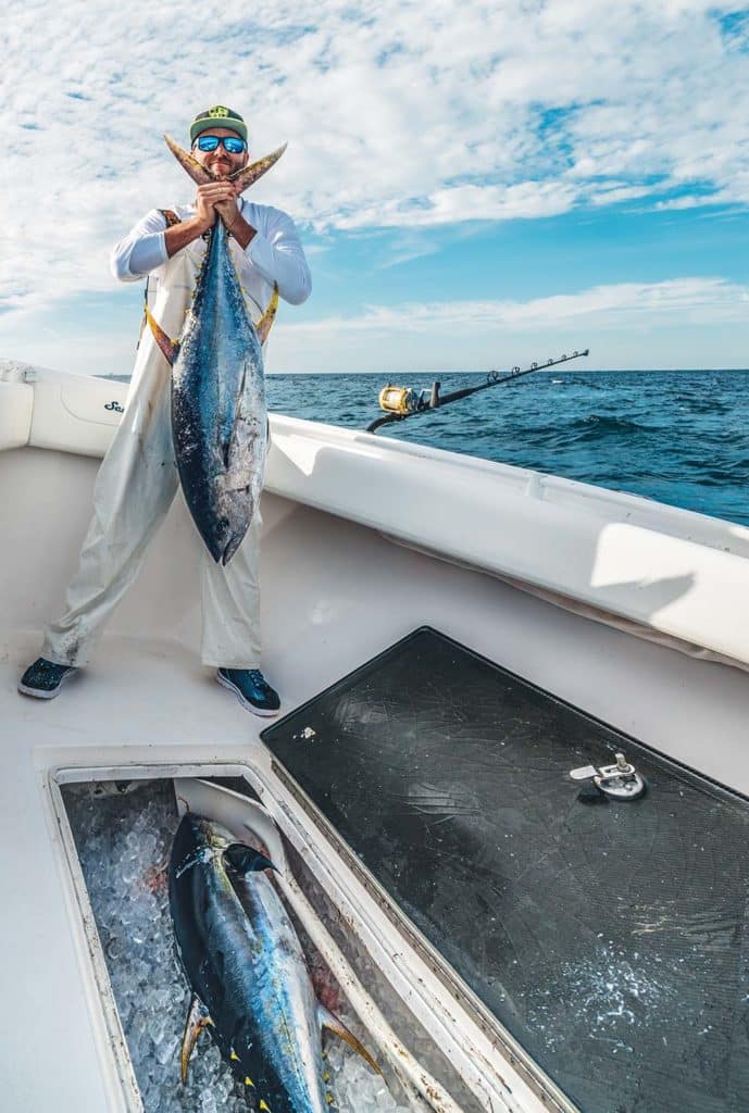 California Yellowfin Tuna