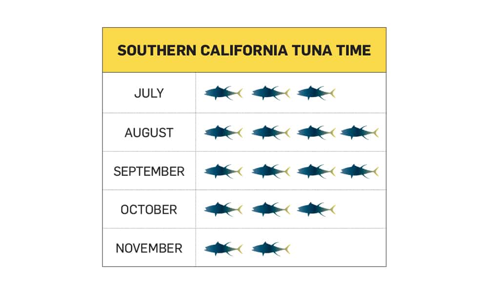 California Yellowfin Tuna