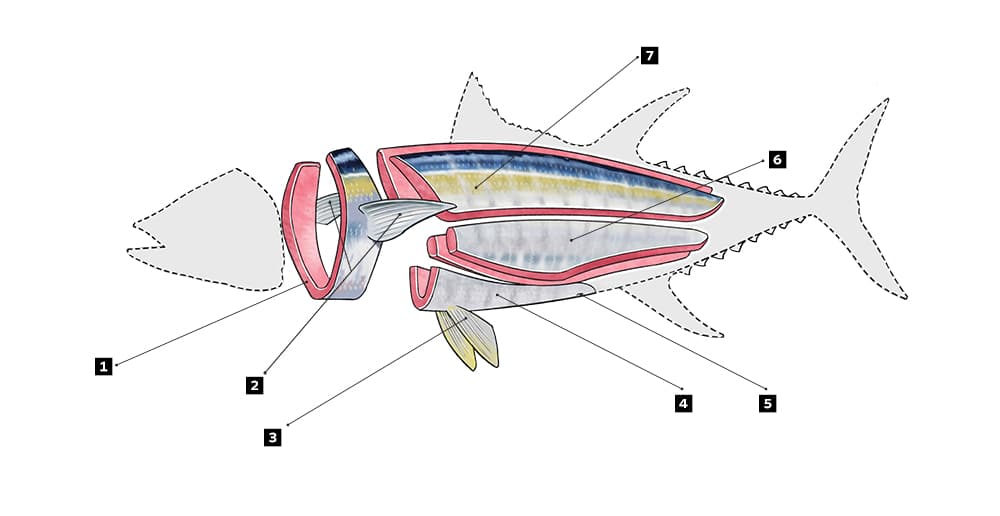 California Yellowfin Tuna