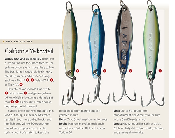 yellowtail-tackle.jpg