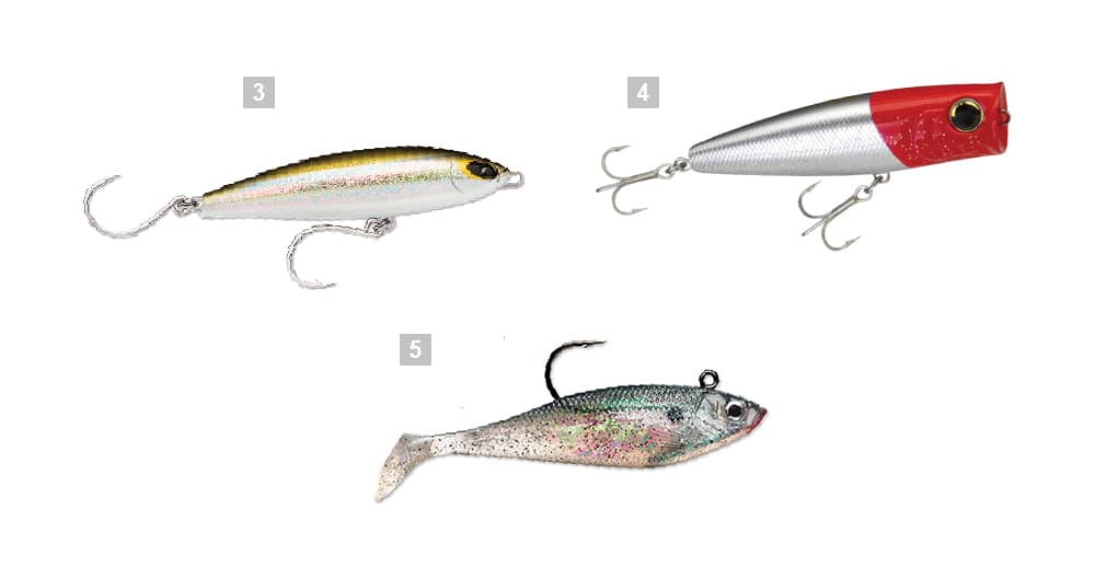 Spring Striped Bass  Salt Water Sportsman