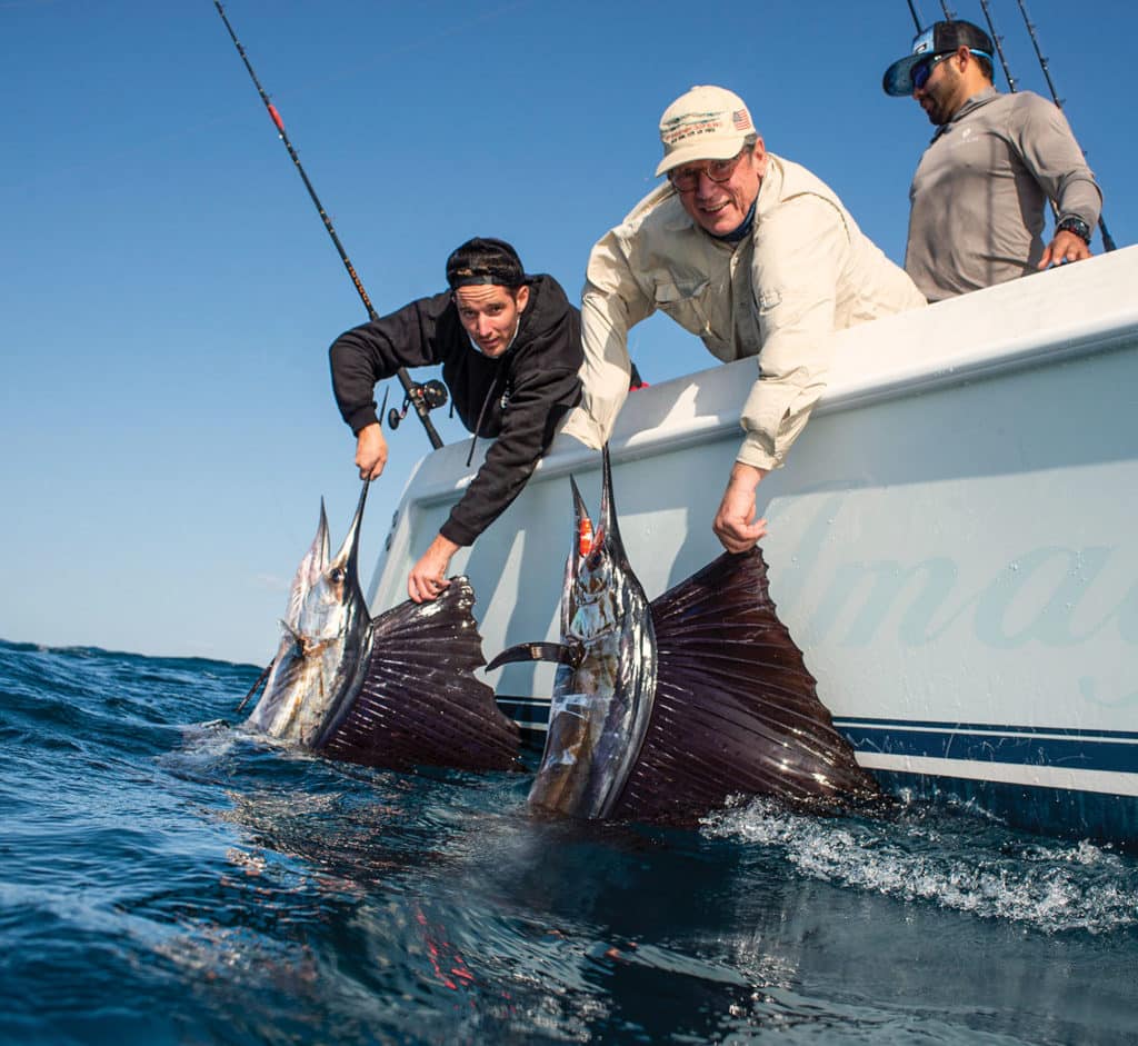 Multiple sailfish brought to the boat