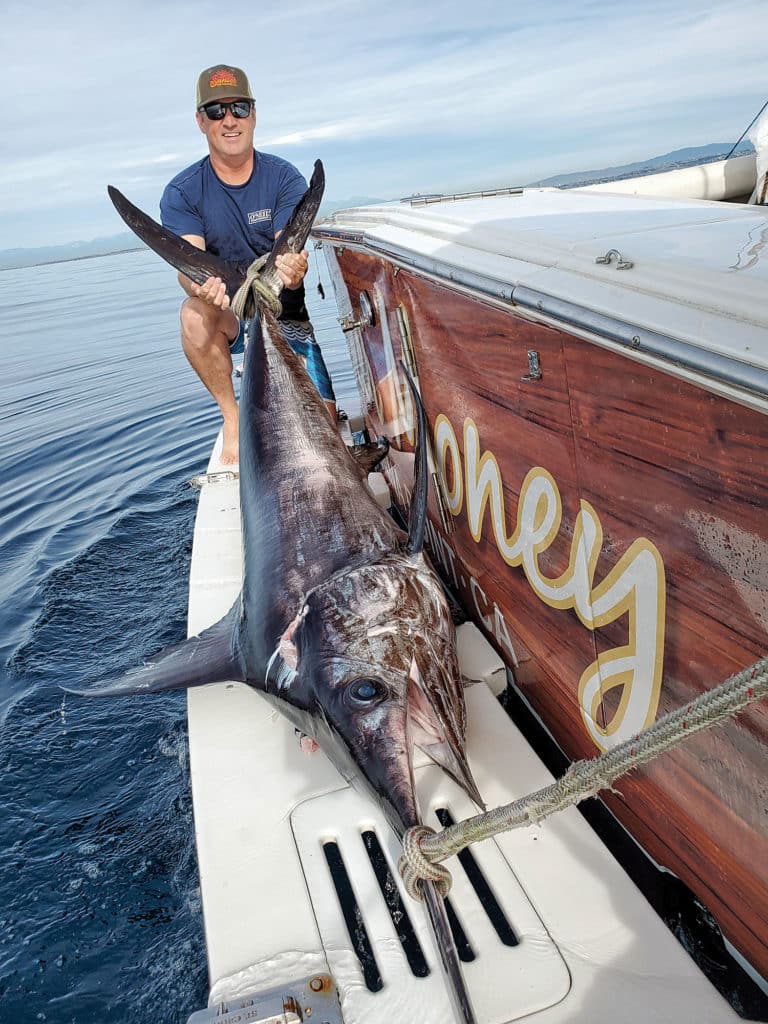 Large swordfish caught in the daytime