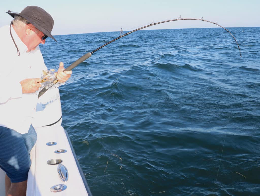 Grouper on the line