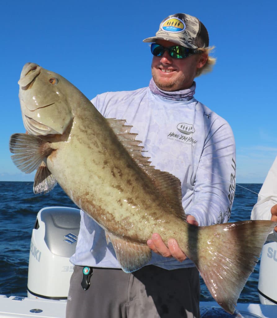 Large grouper being taken home for dinner