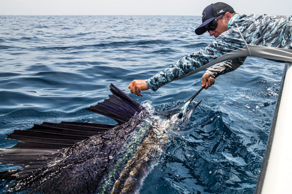 Sailfish brought boatside