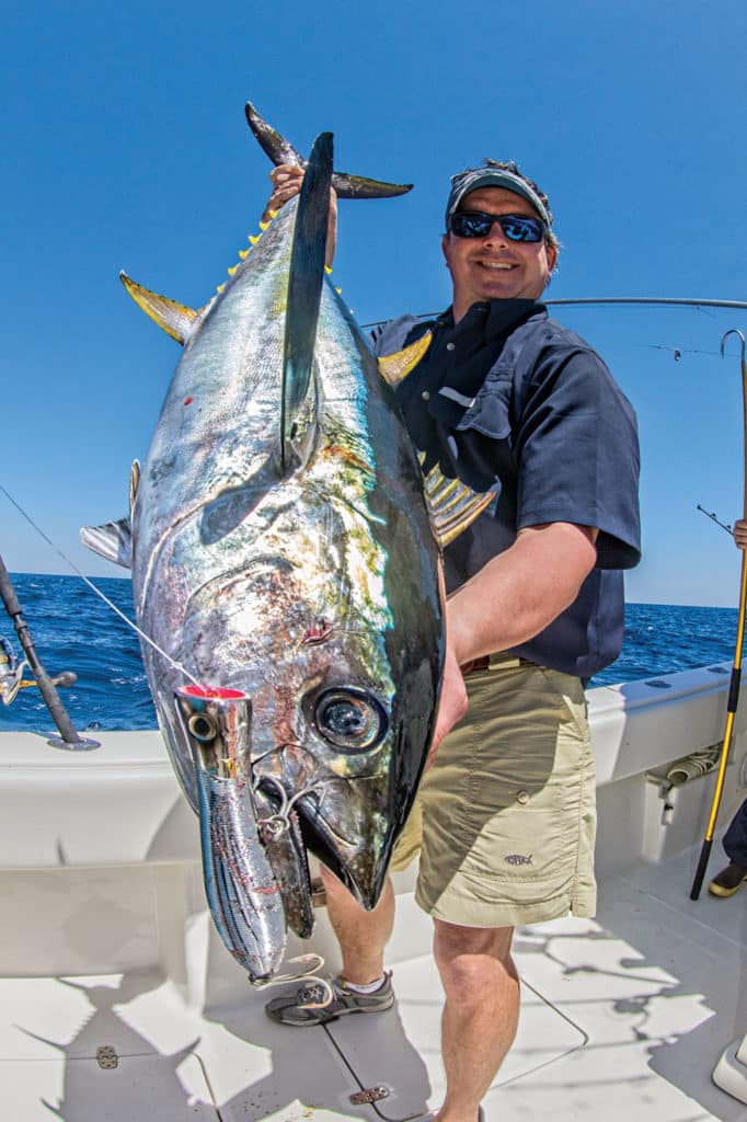 Tuna caught on the surface