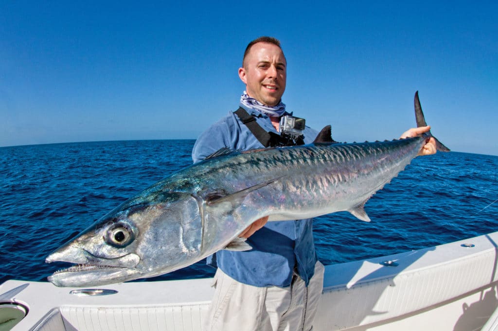 Trophy king mackerel