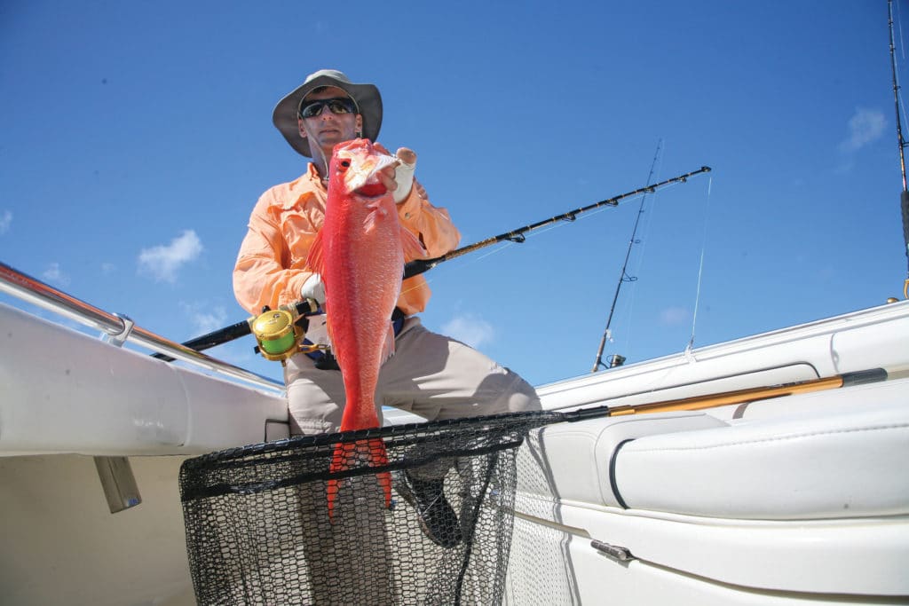 Large snapper being held up